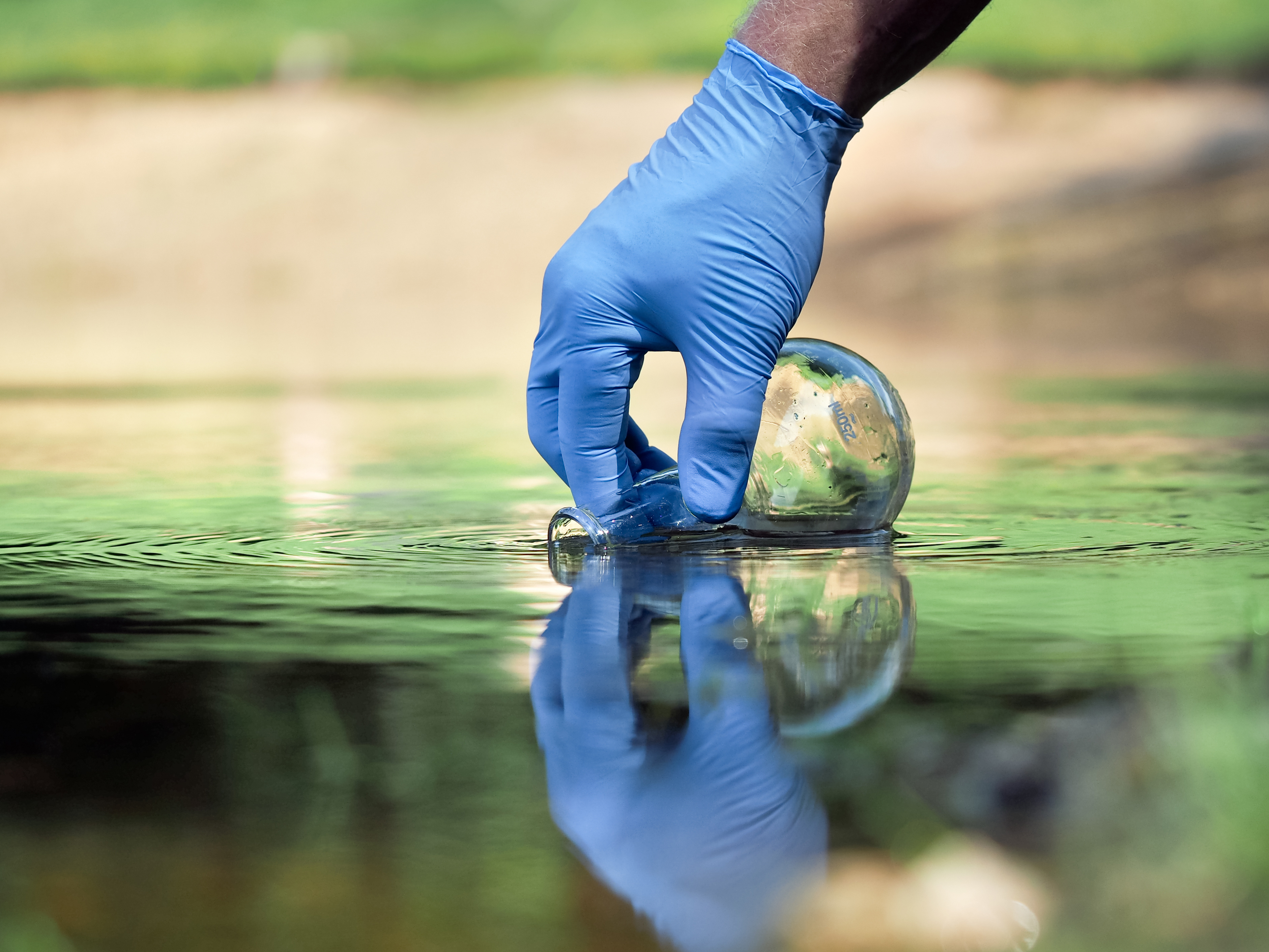 Recherches antérieures sur le chlorothalonil